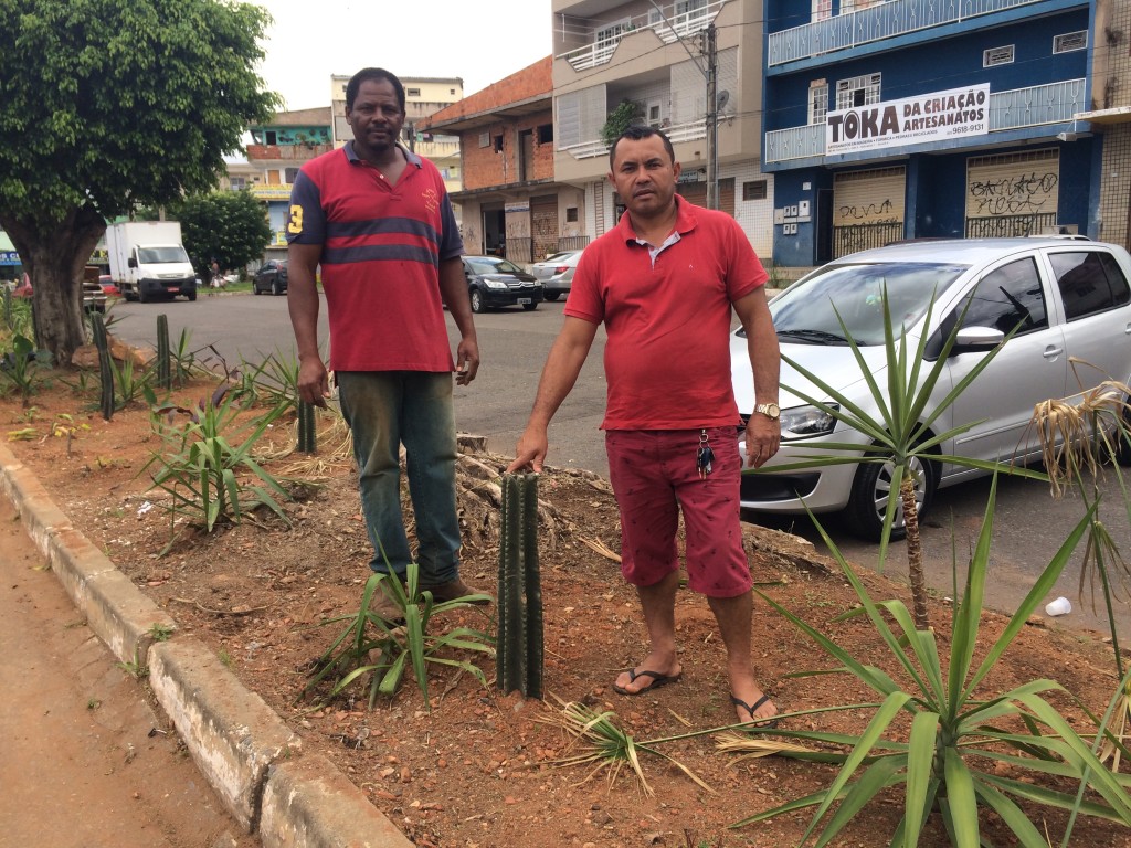 Plantio de mudas na QE 40